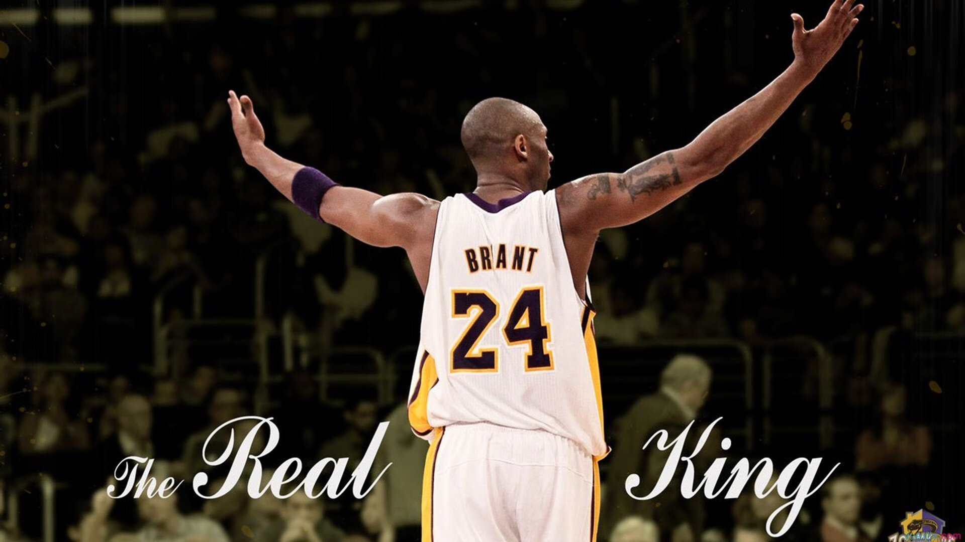 女篮精神激励全新的篮球一代,女子篮球精神